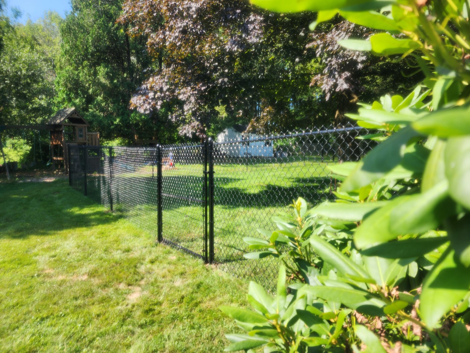 Black chain-link fence and walk gate enclosing a wooded backyard.