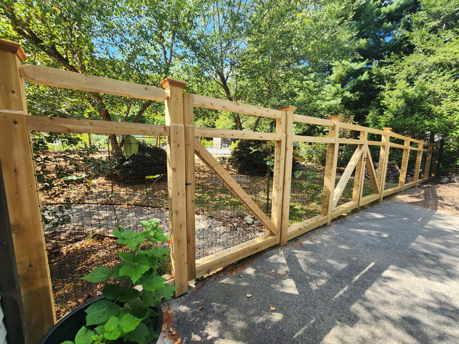 Wood post-and-rail fence with wire mesh and double gates beside a wooded driveway.