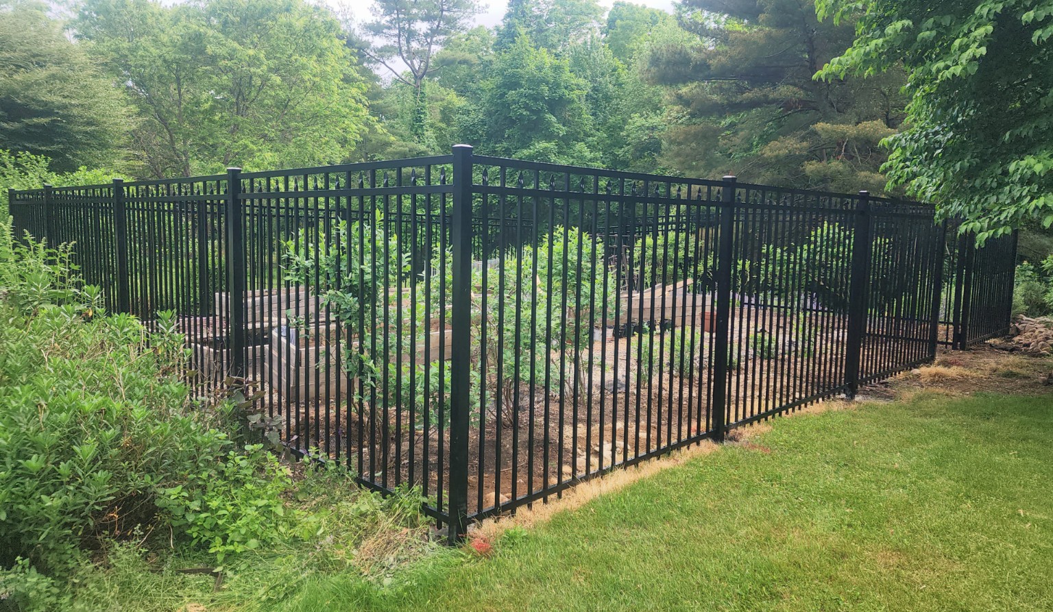 Black aluminum fence enclosing raised garden beds at a wooded property.